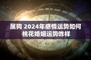 2025年属狗运势大丰收：事业财运旺，桃花婚姻佳