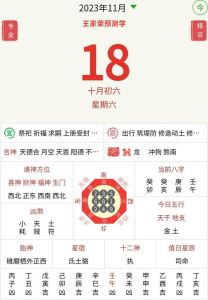 11月10日十二生肖运势预测：喜忧参半，运势详解