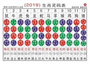 2023年财顺运佳生肖：卯兔巳蛇亥猪智慧秘籍