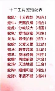 11月10日生肖龙兔蛇爱情机遇日：开放心扉，邂逅良缘！