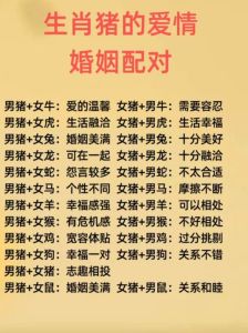 属猪最佳搭配生肖：和谐婚姻指南