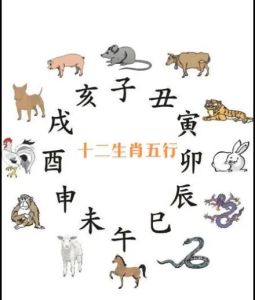 中国生肖文化：四大生肖女性如何成就富贵人生