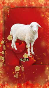 12月运势大翻身：羊龙马好运，鸡生肖需注意健康！