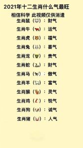12月生肖好运来袭：鼠龙马鸡财运旺，扭转乾坤！