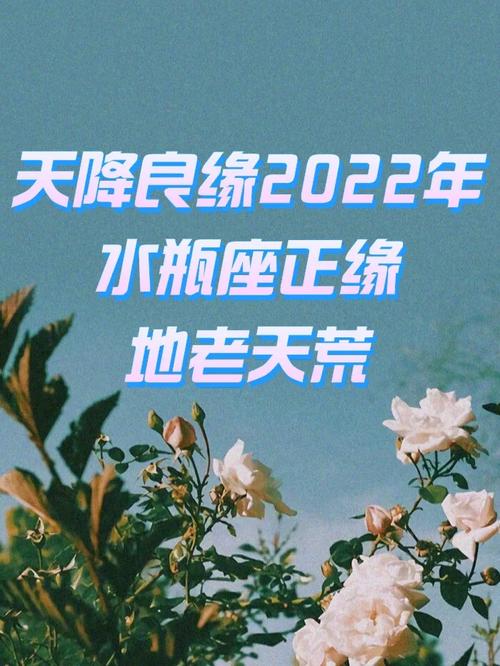 11月星座桃花运：邂逅良缘，浪漫冬季爱情指南