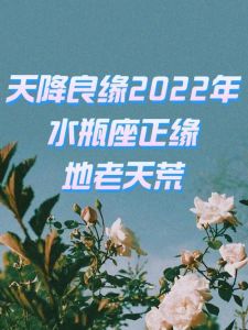 11月星座桃花运：邂逅良缘，浪漫冬季爱情指南