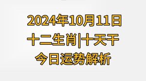 2024年11月10日生肖运势排名及分析