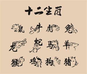 鼠龙羊猪爱情秘籍：四大生肖幸福攻略