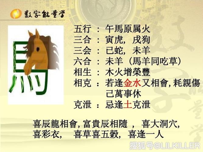 生肖星座揭秘：爱情财运特质的成功之道