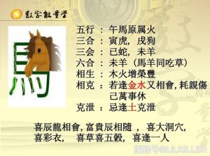 生肖星座揭秘：爱情财运特质的成功之道