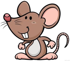 招财生肖揭秘：鼠龙猴狗财运优势解析