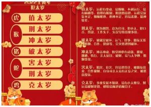 十二生肖财富秘籍：龙羊马虎事业财运双赢故事