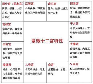 甲辰年十月运势分析：斗数命宫主星运势详解