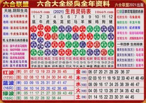 四大生肖家庭情感特点解析：鼠牛龙猪运势详解