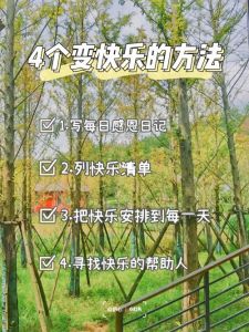 11月运势高峰：四大星座快乐秘诀及正能量传递