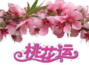 11月初四大星座桃花盛，把握时机寻真爱