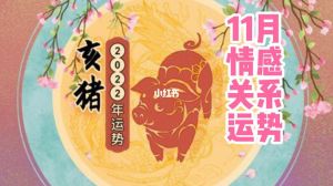 11月生肖兔猴马猪桃花旺，甜蜜恋爱指南