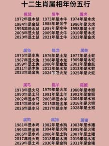 12月生肖鼠运势详解：事业机遇与财富建议