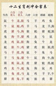 11月11日生肖运势：兔马虎吉，龙鸡羊需谨慎