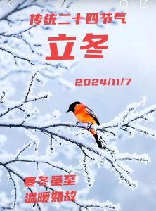2024立冬运势解析：亥月变局与生肖运势