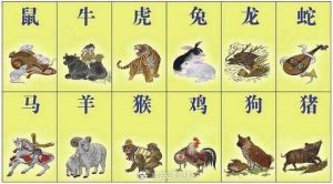 2024生肖运势：龙蛇马猪丰收年，财福双至需谦逊感恩