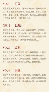 生肖运势揭秘：鼠龙羊虎吉祥影响与好运秘籍