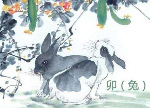 生肖智慧解析：牛兔猪蛇的人生哲学启示