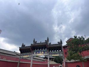 金星射手恋爱攻略：自由冒险，深度连接