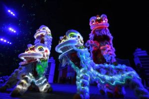 生肖运势大揭秘：鼠龙狮天蝎未来一年好运连连