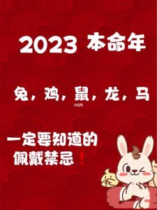 2023生肖好运指南：鼠龙兔蛇财运爱情两旺