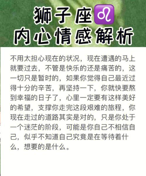 金星狮子座情感攻略：如何与他们共舞荣耀之旅