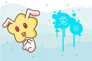 生肖婚姻观：物质与幸福婚姻的平衡之道