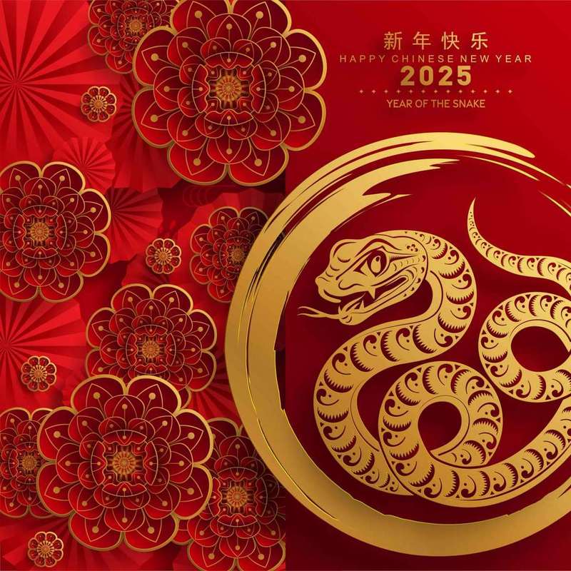 本月份运势飙升：鼠龙猴羊生肖大放异彩