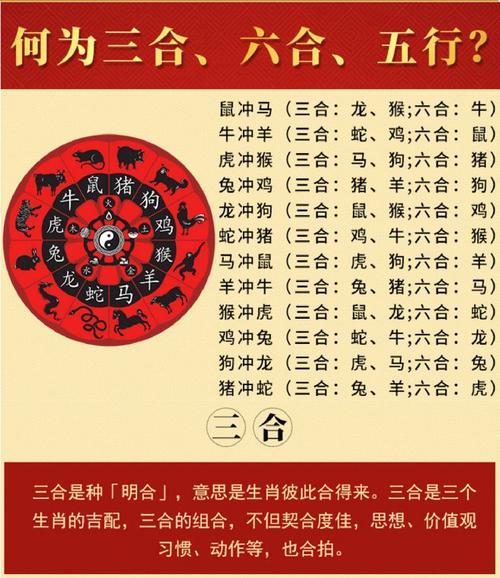 四大生肖转运指南：抓住机遇，事业腾飞！