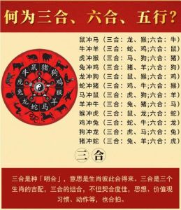 四大生肖转运指南：抓住机遇，事业腾飞！