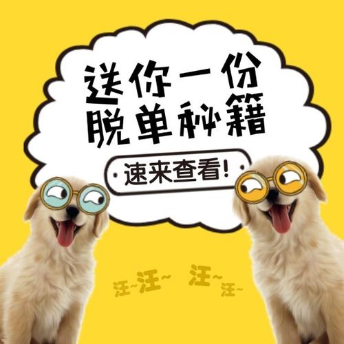 光棍节生肖桃花大爆发，脱单秘籍在这里！