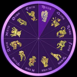 2024年金牛座狮子座天秤座射手座财运爆发，喜事连连！