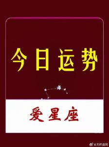 11月星座爱情运势：四大星座桃花盛开，甜蜜与成长之旅！