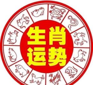 下半年生肖运势解析：光明未来，丰收时刻