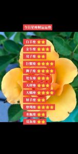 11月四大星座财富运势爆发：白羊金牛双子狮子转运时刻