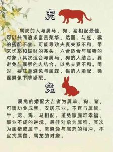 生肖爱情盘点：岁末新春甜蜜邂逅时刻