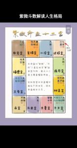 紫微斗数四化象解读：核心要义与命运洞察