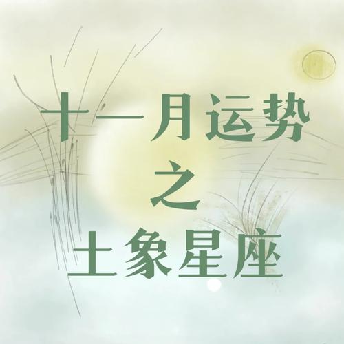 11月星座桃花盛宴：勇敢表白，收获幸福时光