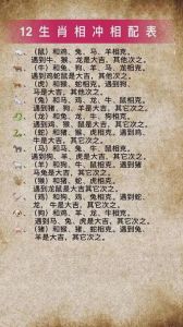 虎年生肖运势：马鸡蛇各显神通，共谱成功篇章