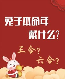 生肖运势揭秘：鼠兔蛇马26天事业感情大好！