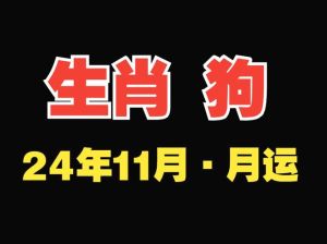 12月运势佳：狗羊鼠兔四大生肖好运指南