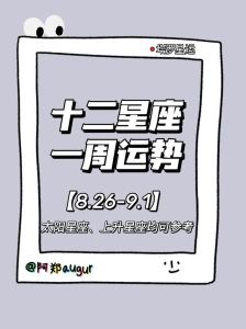 今日塔罗运势：12星座每日运势解析