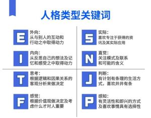社交测试案例分析：应变能力与性格揭秘