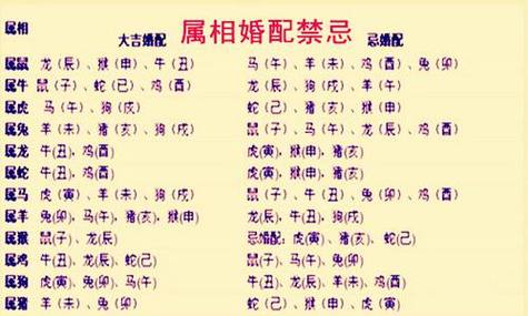生肖女性性格解析：虎马猴的婚姻影响与家庭智慧