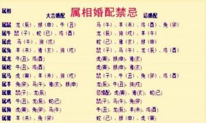 生肖女性性格解析：虎马猴的婚姻影响与家庭智慧